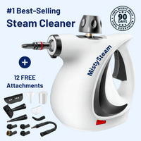 Eco-Friendly Multi-Surface Steam Cleaner™